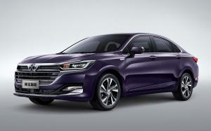 Senova Zhidao '2019